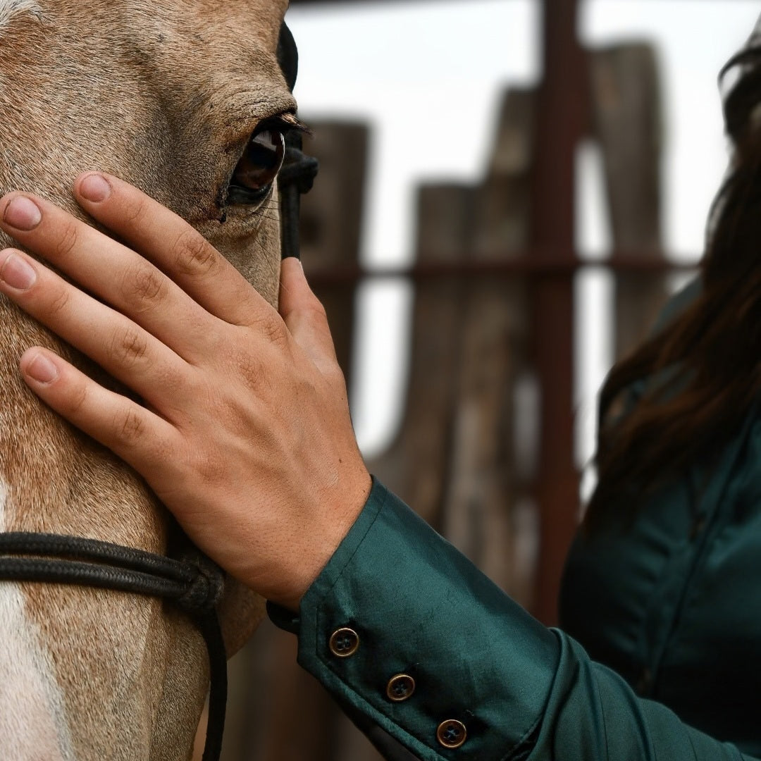 Why Your Show Shirt Matters More Than You Think: A Competitor's Guide to Fit, Function, and Confidence in the Arena
