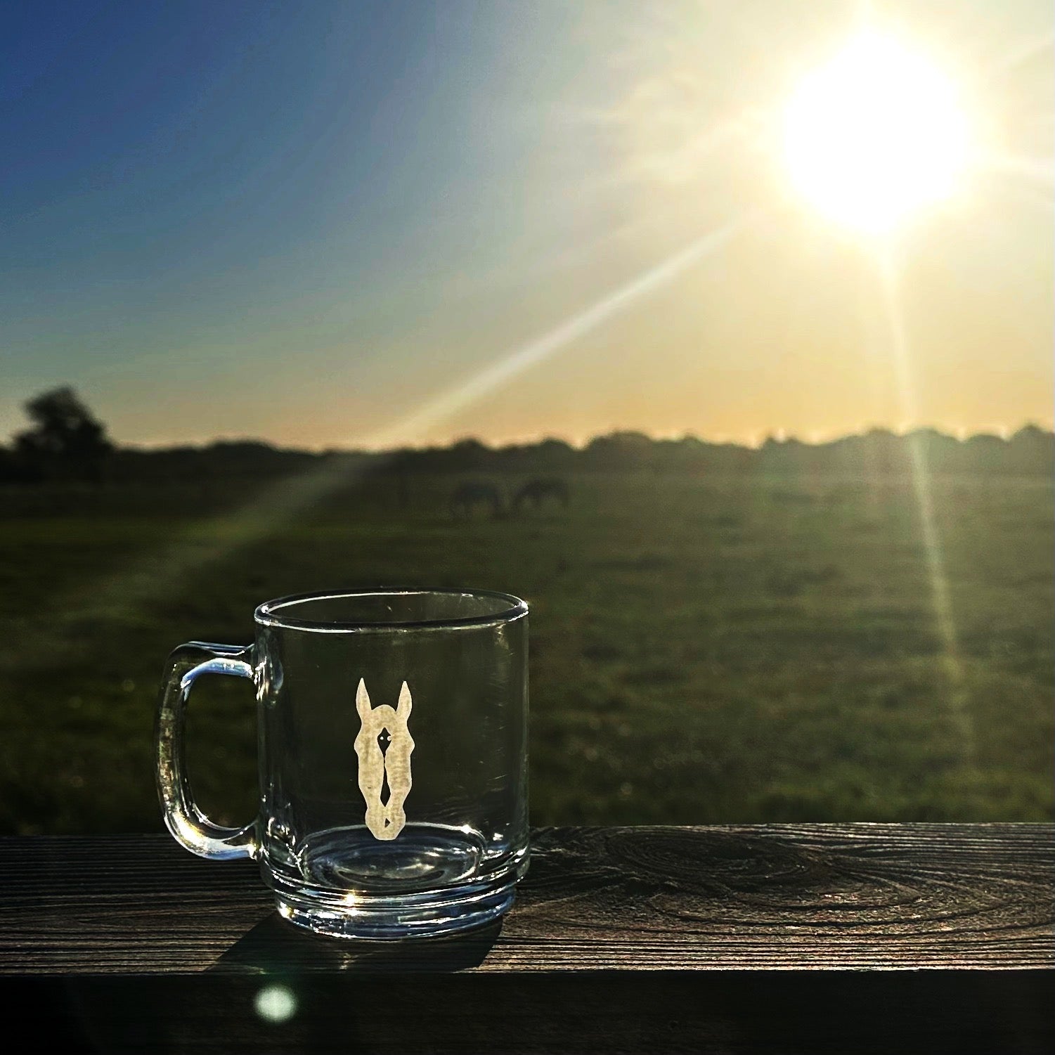 Glass Mug