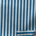 Teal Pinstripe PRE ORDER (Regular Collar)