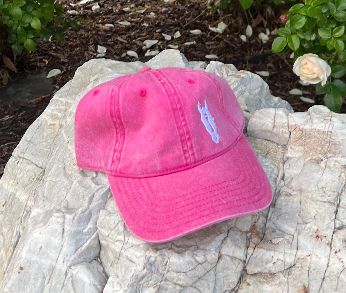 AW Vintage Soft Cap - Pink